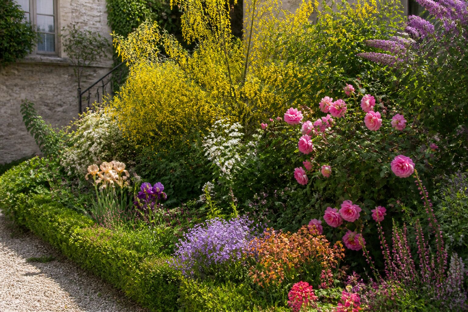 Arbustes et fleurs : 12 espèces pour jardin fleuri