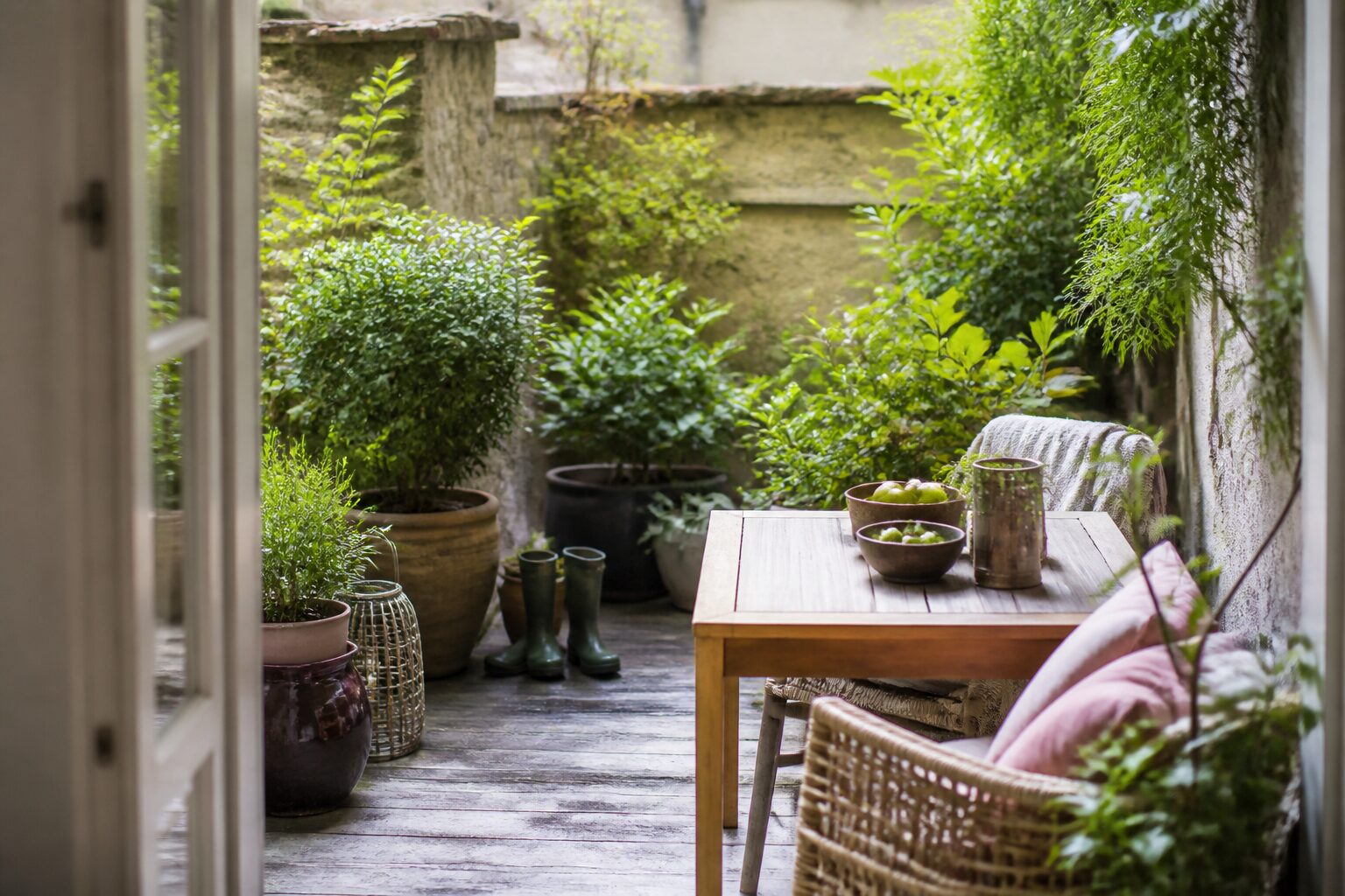 Terrasse de jardin aménagée avec plantes