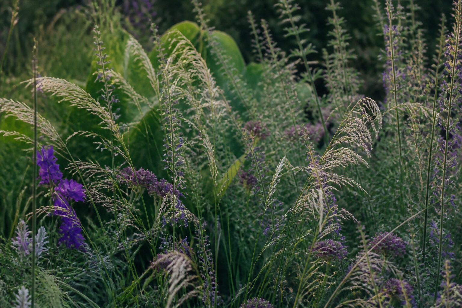 Massif en mixed border avec vivaces et graminées dans un jardin anglais