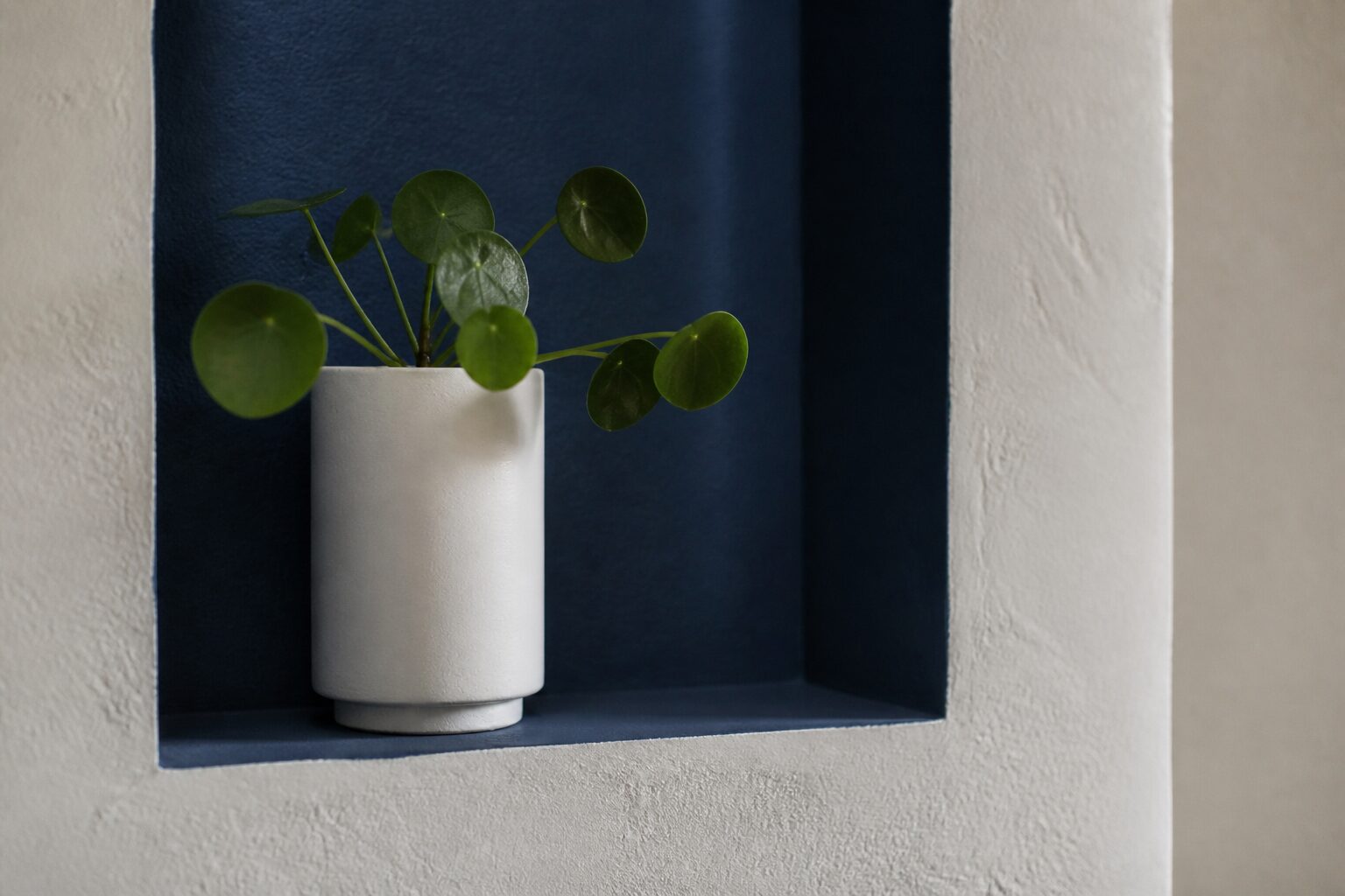 Niche murale design dans un couloir, fond terracotta, petit vase en grès et plante décorative, éclairage LED chaleureux